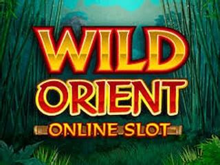 wild orient slots|Wild Orient Slot Review 2024 .